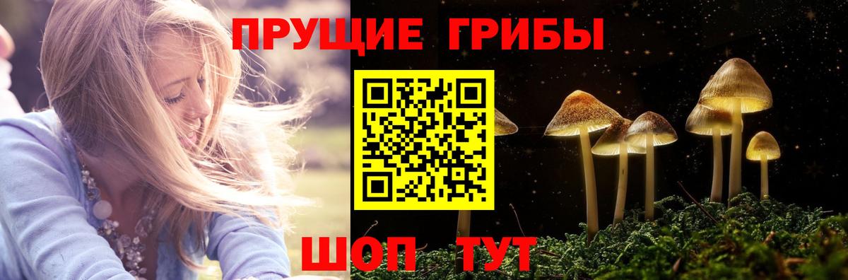 Ижевск  Галлюциногенные грибы GOLDEN TEACHER  Вход с VPN 